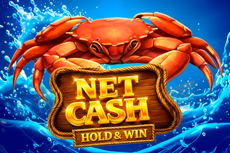 Net Cash